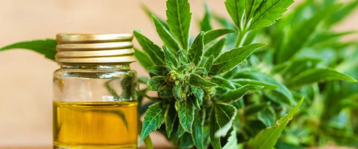 cbd oil